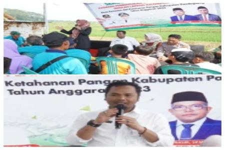 DPKP PANDEGLANG ADAKAN KEGIATAN PE