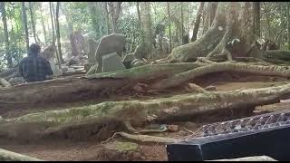 Napak Tilas Leluhur Bersama Dokter Agus