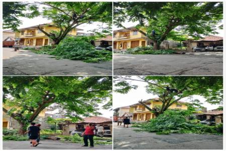 DINAS LINGKUNGAN HIDUP KABUPATEN L