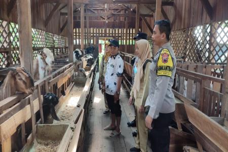 PMK KEMBALI MARAK, POLISI EDUKASI 