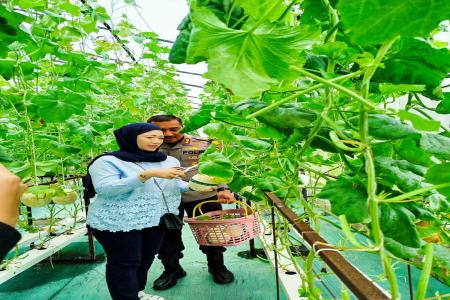 Destinasi Wisata petik buah Artansi Ch