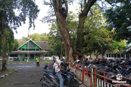 KPH SEMARANG LAKUKAN OPTIMALISASI ASETSEWAKAN SEBAGIAN LAHAN KANTOR UN