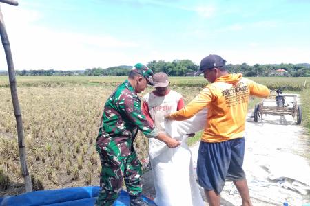 BABINSA SUKOREJO KORAMIL 0808-09 S